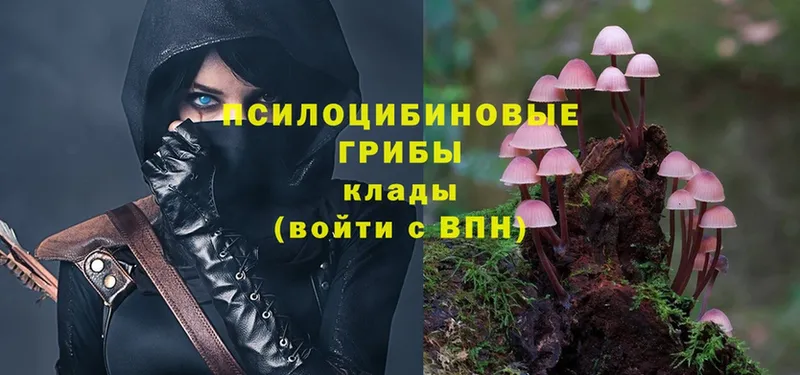 Псилоцибиновые грибы MAGIC MUSHROOMS  blacksprut ссылка  Нарьян-Мар  купить  цена 